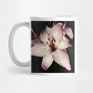 Pink stargazer lily Mug